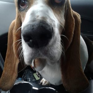 Meet your Posher, Kristen